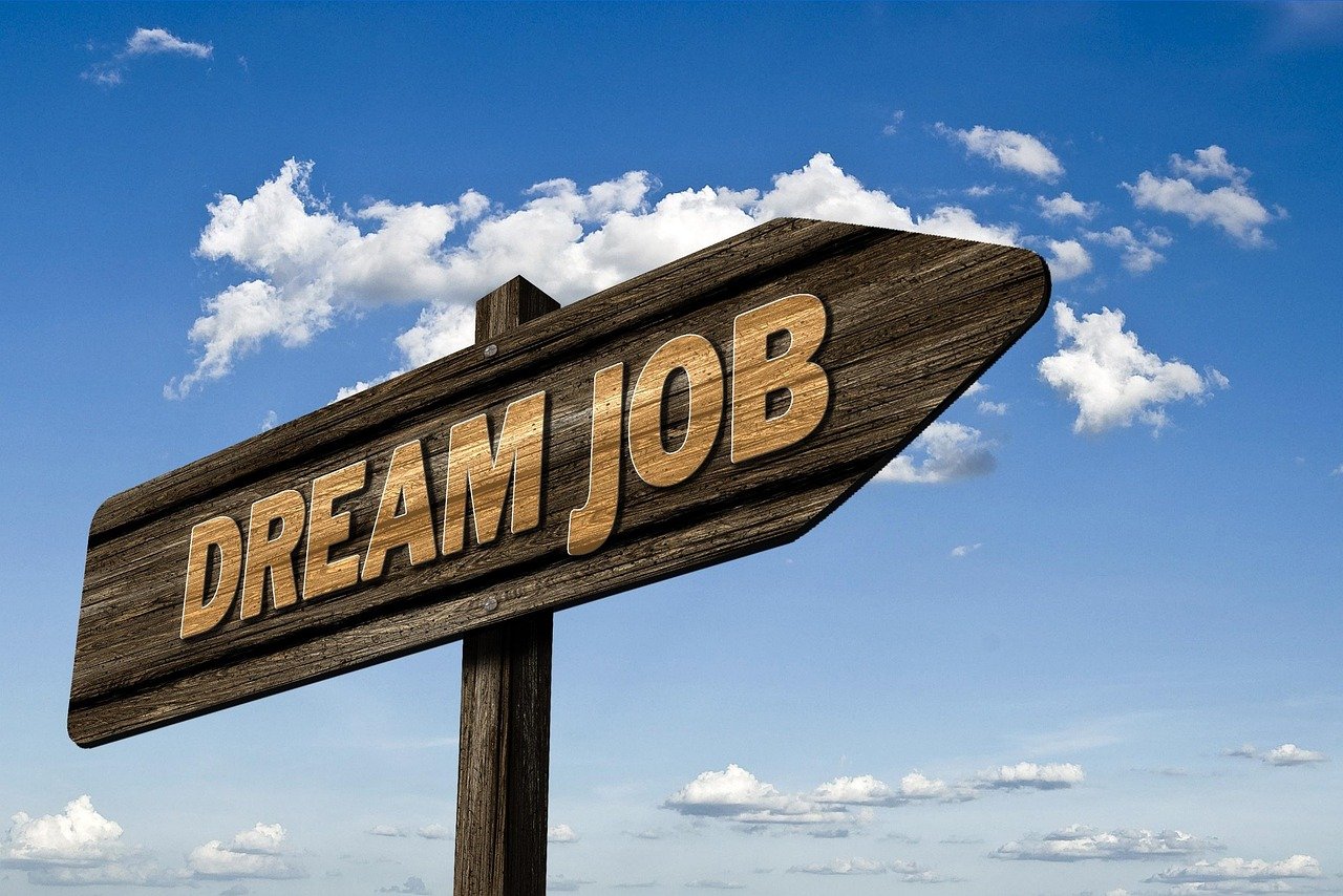 Career Matching in the Age of AI: Why Students Need the Career E-Sandbox